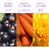 ISDG Medical & Food Dotcom Lutein Bilberry Lutein Supplement, Blue