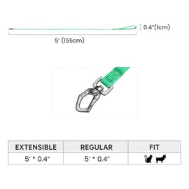 EXCELLENT ELITE SPANKER Nylon Dog Leash Basic Style 5 Feet Long 1/2" Wide Rope for Small Pets Dogs and Cats Walking(Green)