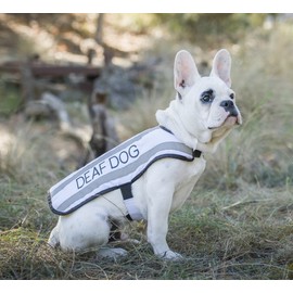 DEAF DOG (Dog Has Limited/No Hearing) White Colour Coded S M L Reflective Waterproof Fleece Lined Warm Dog Coats PREVENTS Accidents By Warning Others Of Your Dog In Advance (S)