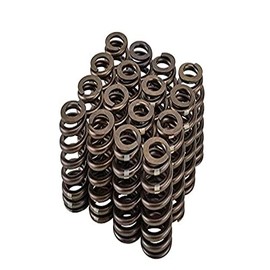 GM Performance 12499224 Valve Spring