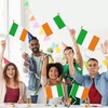WEITBF 12 Pack 8×12 Inch Ireland Flags Small Irish Flags