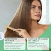 Champú Batana con Romero 100mL - Fortalece Raíces, Controla Aceite