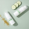 Alma Secret Anti-Wrinkle (Oil-FREE) with Propolis, Salicyl and Green Tea