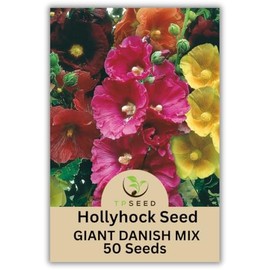 Hollyhock Giant Danish Mix Seeds, 50 Count, Multi-Color Biennial Flowers, TP SEED