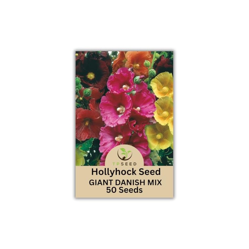 Hollyhock Giant Danish Mix Seeds, 50 Count, Multi-Color Biennial Flowers,