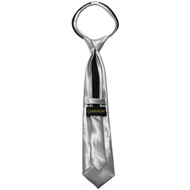 CANGRON 13" Necktie for Boy Toddler Tie Pre-Tied Silver Boys Tie with Giftbox LZC13YI