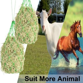 KAKOLOPT Horse Treat Bag Feeder Net,Hay Nets For Horses,Strong Mesh Hanging Slow Feeder Haynet+Rope For Haylage,Horse Treats & Soak Hay Bale Equestrian Horse Accessory for Goat Sheep (2x 36" Green)