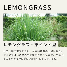 Tree of Life Lemongrass East Indian Essential Oil 10ml AEAJ Certified Essential Oil Essential Oil Aroma Oil Natural Herb