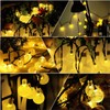 Solar String Lights Outdoor,50LED Solar Waterproof String Lights,8 Mode 7M/24Ft