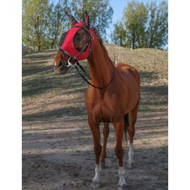 HackFond Horse Fly Mask with Ears, UV Protection Mask for Horses, Elasticity Mask with Big Mesh Eye Covers, Snug Fitting Comfortable Breathable Lightweight Rose Red Cob