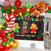 JeVenis Christmas Gender Reveal Backdrop Balloons Christmas He or She