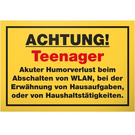 DankeDir! Humorverlust Plastic Sign 30 x 20 cm Gift Idea Teenager Saying Room Door Sign Boys & Girls Teenagers Room Decoration Gift Idea Teenagers Door Decoration Birthday