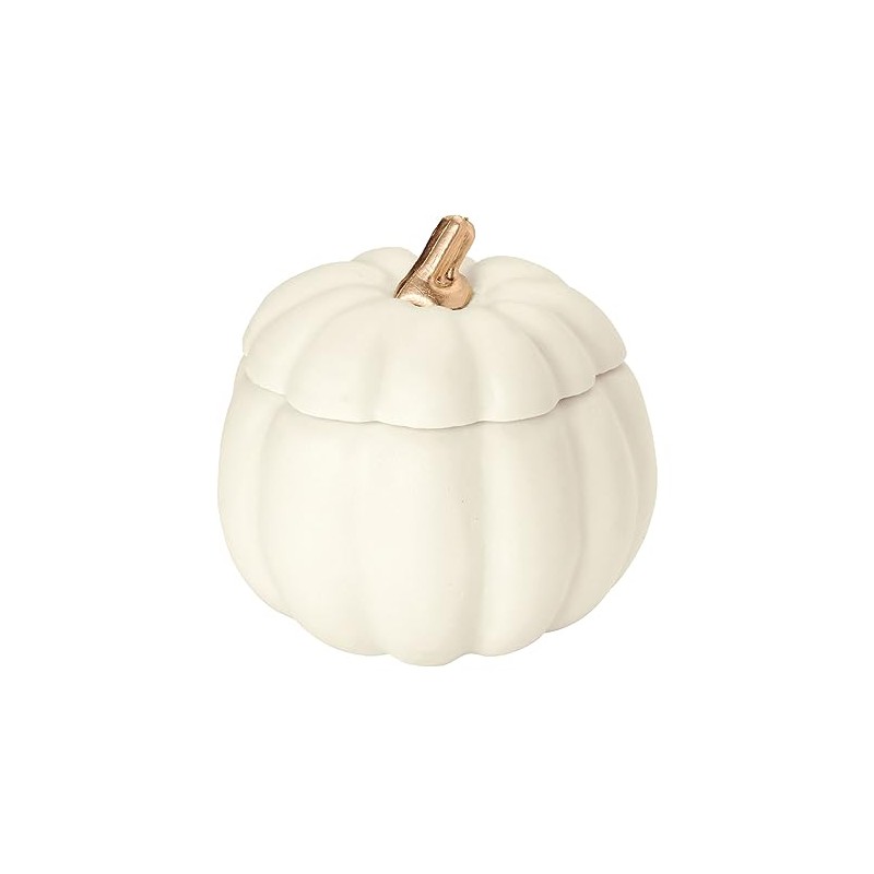 Tokyodo Decoration Pumpkin with Lid, White, Φ3.9 x H3.9 inches