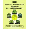 [Kundal] Lime Basil & Mandarin Scent, Refreshing Skin, Smell Cover