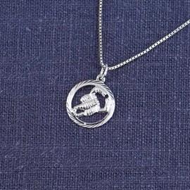trendor Scorpio Zodiac Necklace 925 Silver Fashionable Zodiac Sign Pendant for Women, Necklace Made of Sterling Silver 15360-11, Sterling Silver