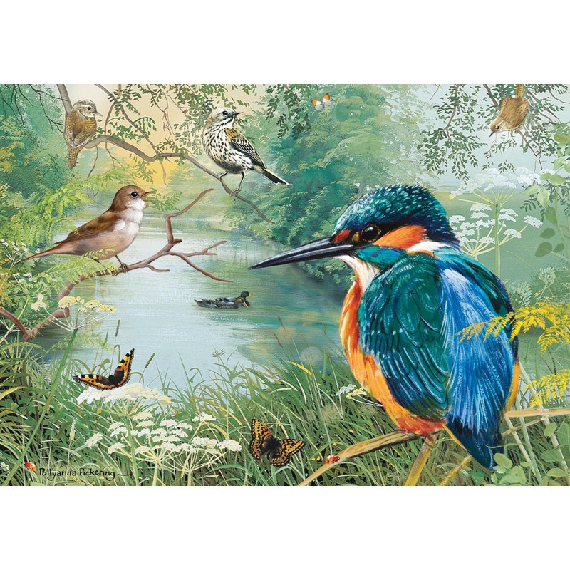 JIGSAW 1000 PIECE - NATURE RESERVE L