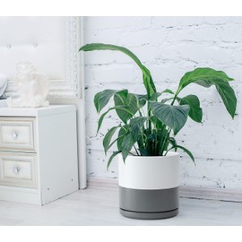 D'vine Dev Set of 2 Plants Pots, 10 Inch Ceramic Planter Pot for Plants with Drainage Hole and Saucer, White/Speckled Grey, 94-V-E-6