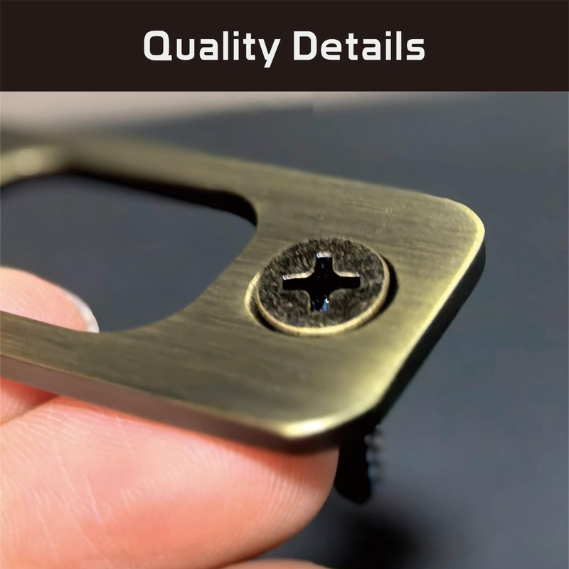 Siwil Deadbolt Strike Plate, Antique Brass Door Backplate 1" X