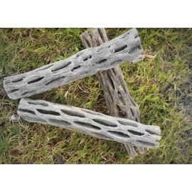 Hexagrowth Cholla Wood Shrimp Hideout, Habitat for Fish, Toy for Gecko, Hermit, Snake, Isopods, Millipedes, Beetle, Snail, Airplant Decor, Bird Perch, Untreated Size 6'' Long, 1'' Diameter (3 Pieces)