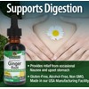 Natural's Answer Ginger Root Drops, 1000mg, Alcohol-Free, 30 ml