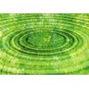 Tushita Blank Postcard Flowers: Bamboo - Zen