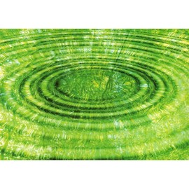 Tushita Blank Postcard Flowers: Bamboo - Zen