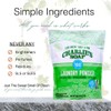 Charlie’s Soap Laundry Powder (100 Loads, 2 Pack) Hypoallergenic Deep