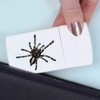 'Hairy Tarantula' Pill Box with Tablet Splitter (PI00031727)