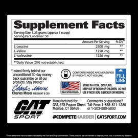Bcaa Powder 50 Serv Gat Sport Aminoacidos Es
