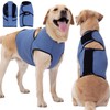 Dog Anxiety Calming Vest Breathable Mesh Anxiety Relief Shirt, Dog