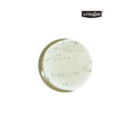 Mint Biome Scalp Deep Cleansing Shampoo 250ml & Treatment 250ml / 민트 바이옴 스칼프 딥클렌징 샴푸 250ml & 트리트먼트 250ml