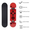 Skateboards for Beginner (shoubing)