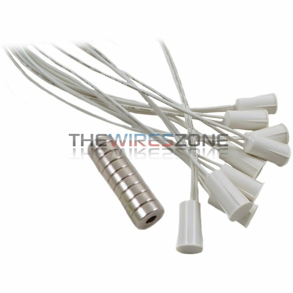 The Wires Zone 10 pk Recessed White Door Window Security