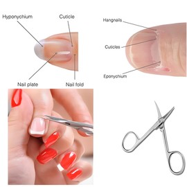 Trendy Look Professional Safety Silver Nasal Scissor | Precision Steel Grooming Tool Kit Suitable for Pain-Free Nose, Ear And Eye Brow Hair Cutting | Silver Scissor Helps Boost Confidence | Set of 1