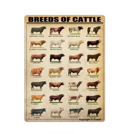 Placa de pared de metal con texto en inglés «Breeds Of Cattle » para restaurante, mercado, granja, rancho, bar, pub, cerveza, club, decoración del hogar, 8 x 12 pulgadas