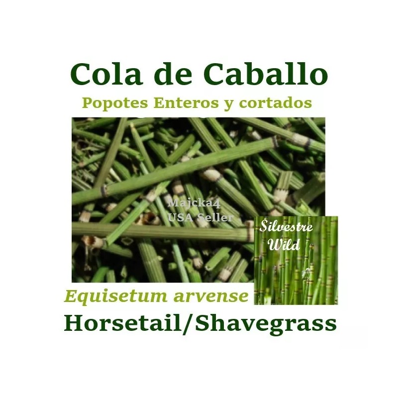 MAJCKA4 COLA DE CABALLO ½ oz. ENTERO Hierbas HORSETAIL SHAVEGRASS