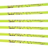 annastar 30" Carbon Feather Arrows Practice Hunting Arrows Spine 300