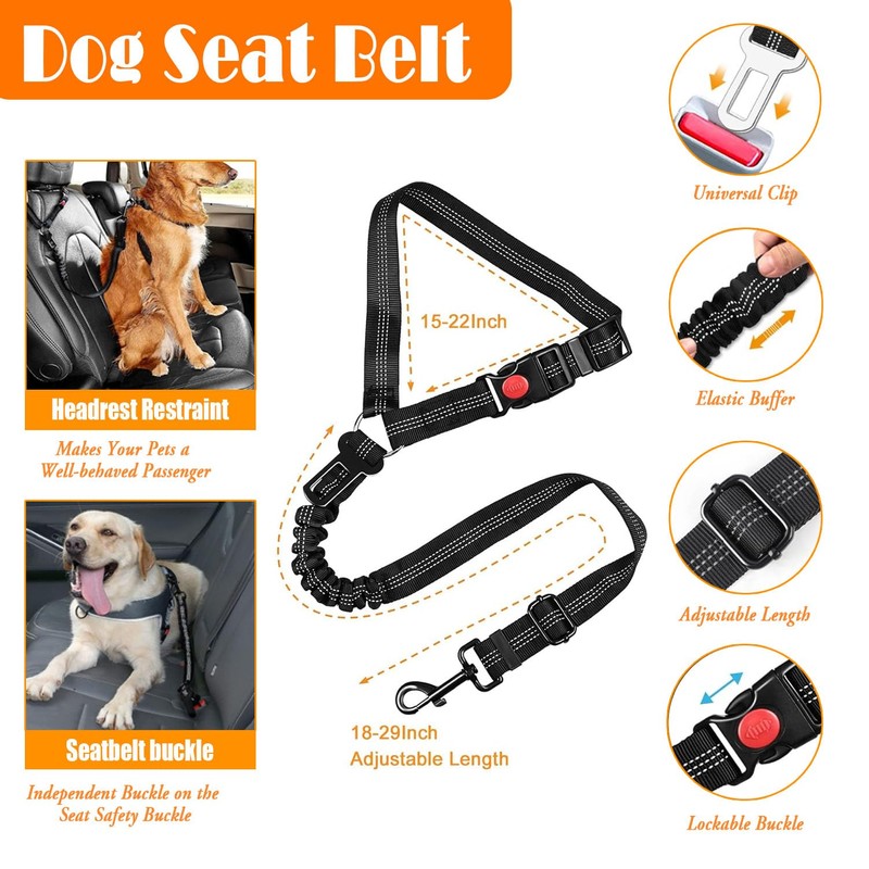 LOBEVE No Pull Dog Harness, Collar & Leash Set |