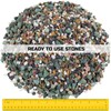 2LBS Horticultural Succulent Rocks Bonsai Mix Succulent Potting Mix Lava
