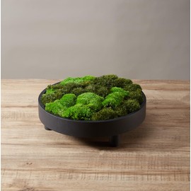 Paquete de 2 colores de mezcla de musgo preservado, cojín decorativo natural, verde, kit de bricolaje para decoración de pared, decoración de floristería, decoración de mesa de Pascua, boda