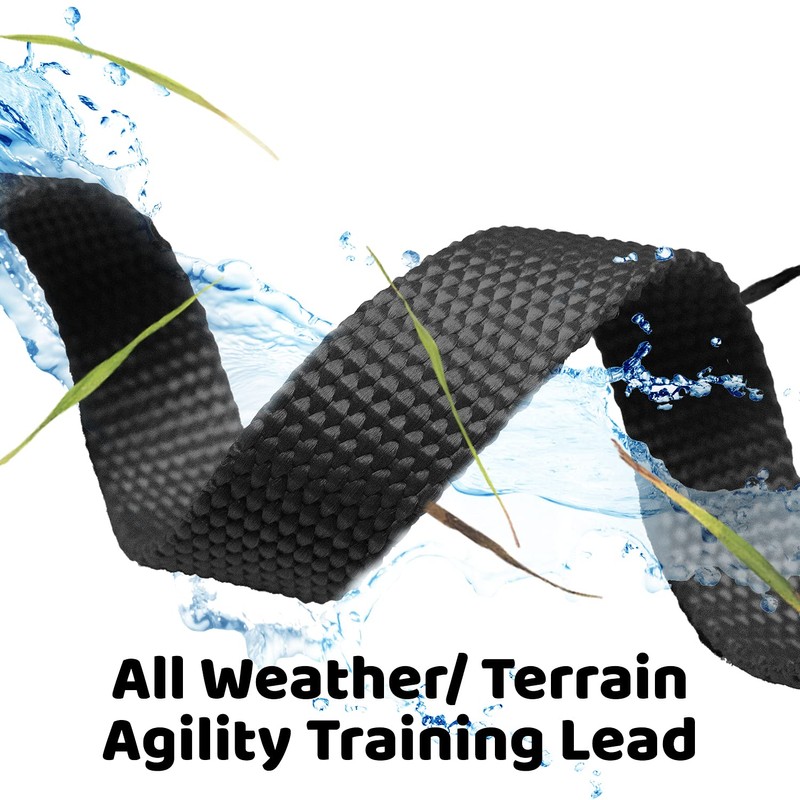 Dog/Puppy Obedience Long Recall Training Agility Lead Leash - Perfect