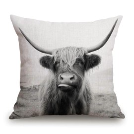 TSSOHU Black and White Throw Pillow Cover Patio Furniture Scottish Highland Cow on Isle of Mull Decorative Cushion Cases Home Décor for Couch Bed Sofa 18x18 Inch