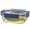 Bestco LBG428 Heat Resistant Glass Storage Container with Lid, Rectangular,