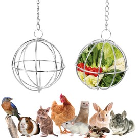 Norhogo Pack of 2 Stainless Steel Feeder Ball, Feeder Toy with Hanging Hooks, Stainless Steel Rodent Feeder Ball, Hay Ball for Hanging for Guinea Pigs, Hamsters, Rabbits, Rodents for 8 cm