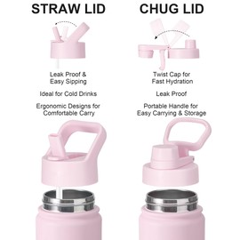 SUNWILL Metal Water Bottle with Straw Stainless Steel, 650ml Insulated Leakproof Thermal Flask with 2 Lids for Cold and Hot Drink, Running, Sports, Gym, Travel, Sakura