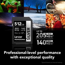Lexar 512GB Professional Silver SDXC Memory Card, UHS-I, C10, U3, V30, 4K Video, Up to 205/140 MB/s Read/Write, for Professional Photographer, Videographer, Enthusiast (LSDSILV512G-BNNNU)