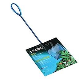 Marina 5 Inch Blue Fine Nylon Net with 10 Inch Handle