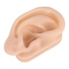 Soft Silicone Ear Model Simulation Ear Acupuncture Practice Model for