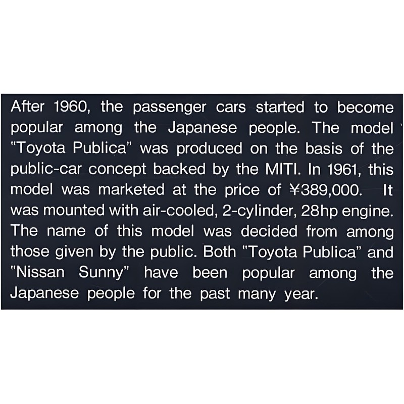 Micro Ace 1/32 Owners Club '61 Toyota Publica Plastic Model