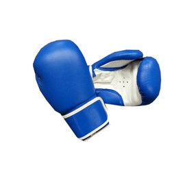 Woldorf USA Pro Aerobic Training Gloves Blue in Leather 12oz Sparring, Grappling, Kickboxing, Fighting Gloves, Muay Thai Training Gloves, Heavy Bag Speed Punching Gloves.
